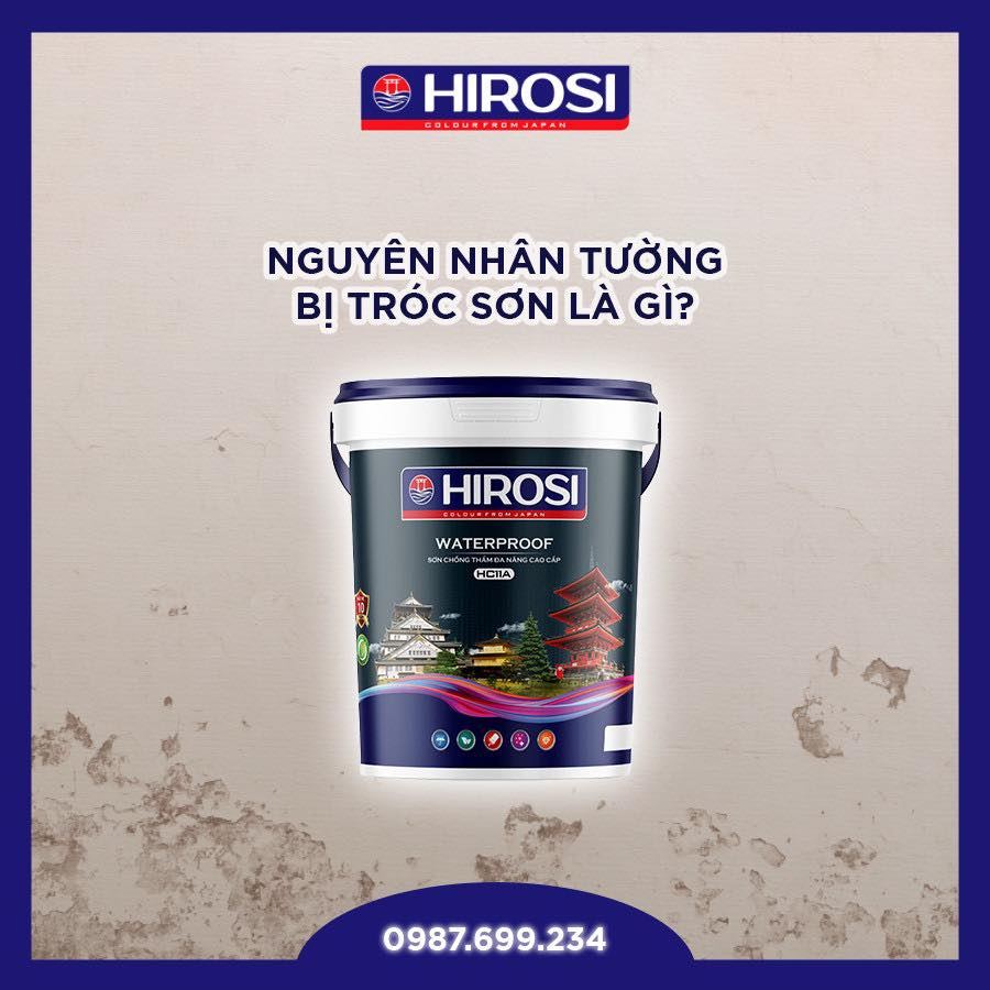 NGUYÊN NHÂN TƯỜNG BỊ TRÓC SƠN LÀ GÌ?